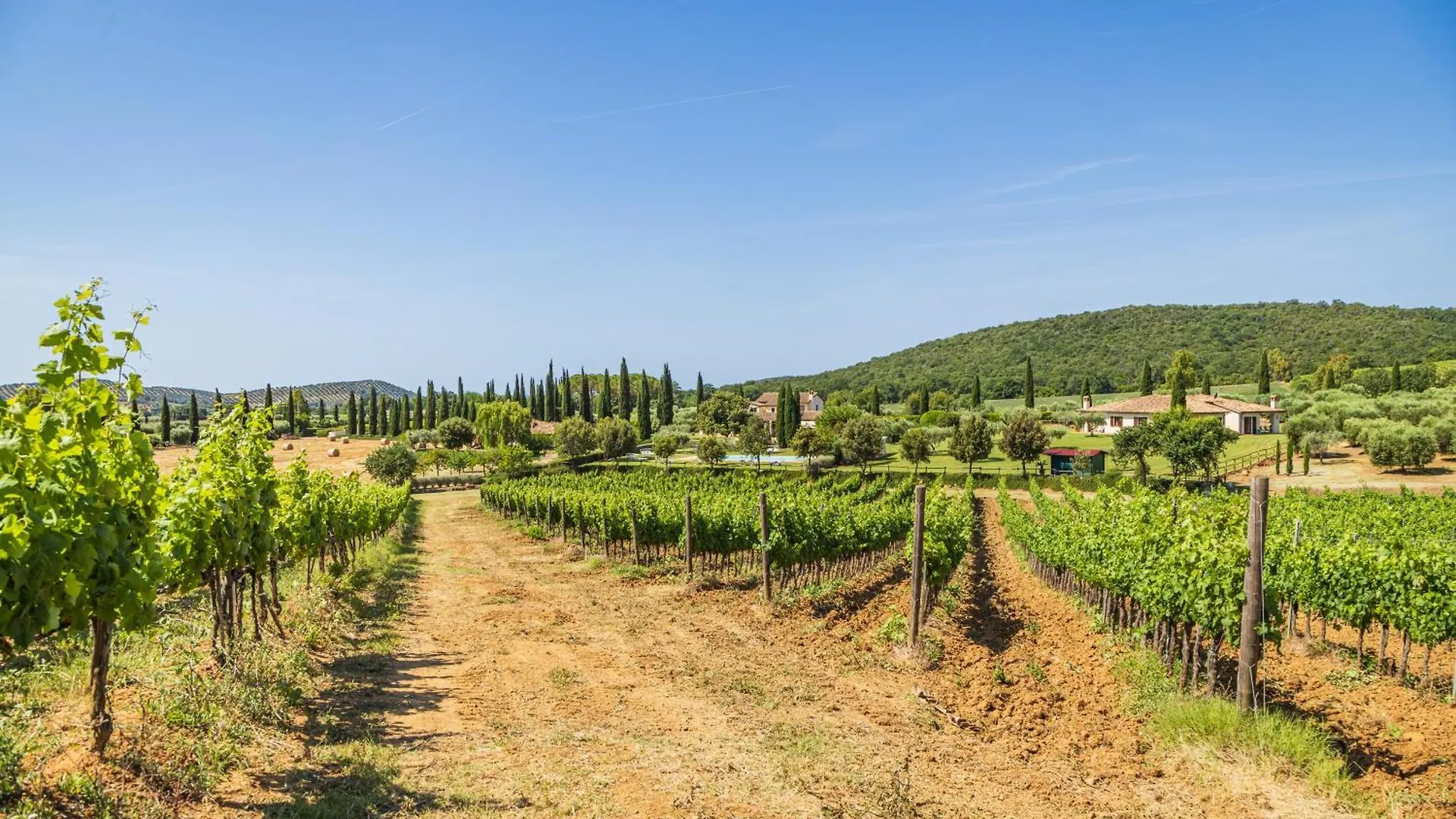 Farm stay Il Casale Degli Olivi Villa Capalbio