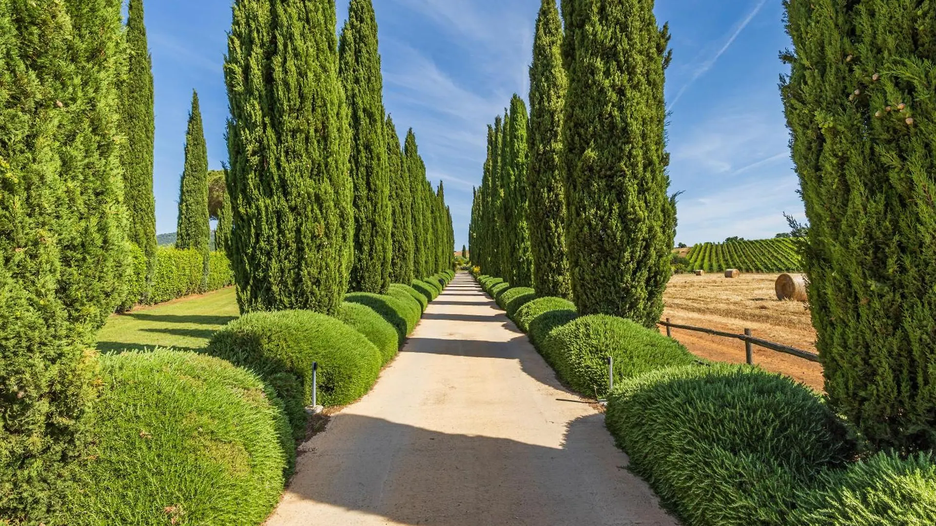 Farm stay Il Casale Degli Olivi Villa Capalbio