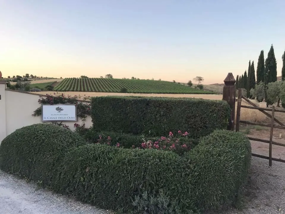 Farm stay Il Casale Degli Olivi Villa Capalbio Italy