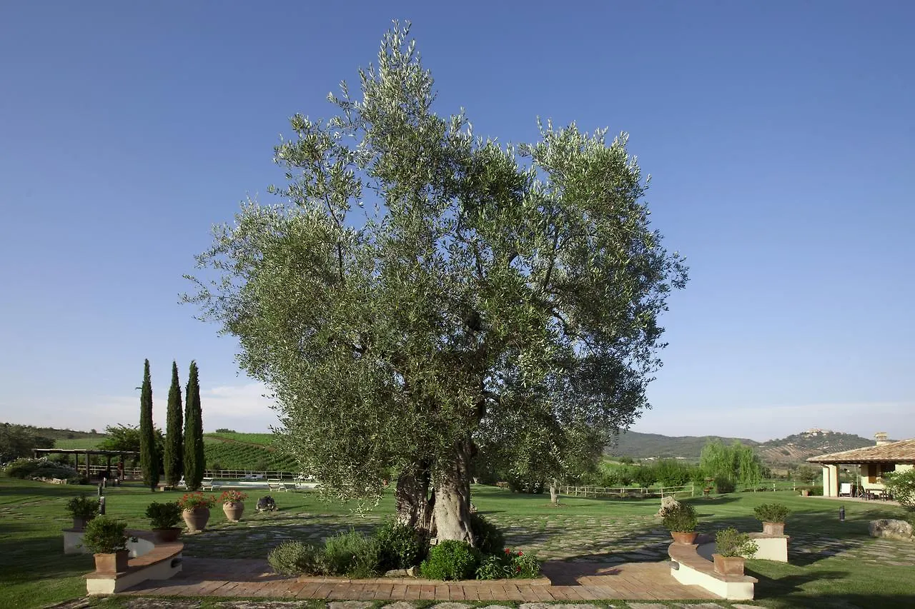Farm stay Il Casale Degli Olivi Villa Capalbio