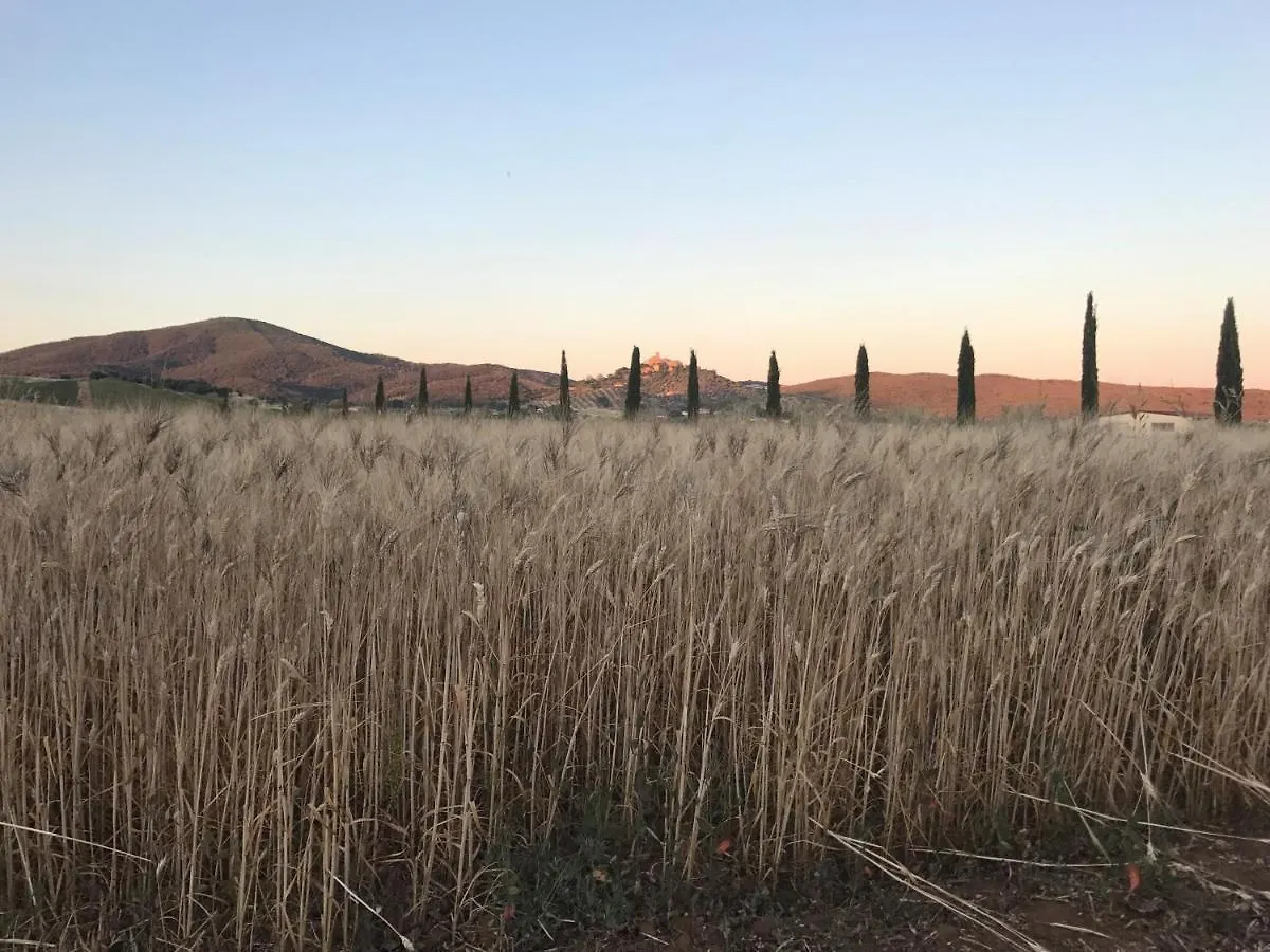 Farm stay Il Casale Degli Olivi Villa Capalbio